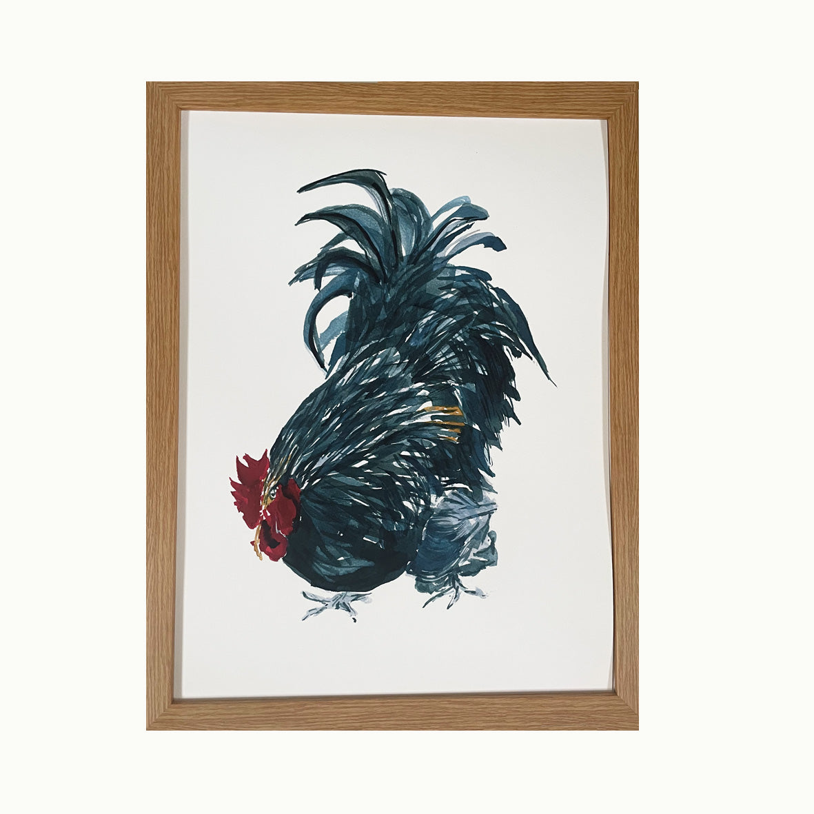 Black Orpington Giclée Print