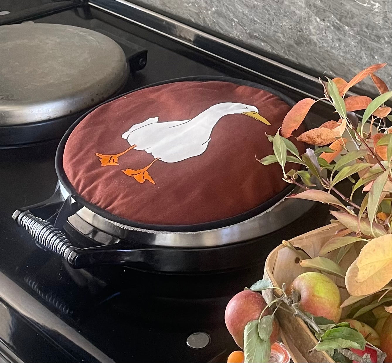 Sample Aga Pads Sale