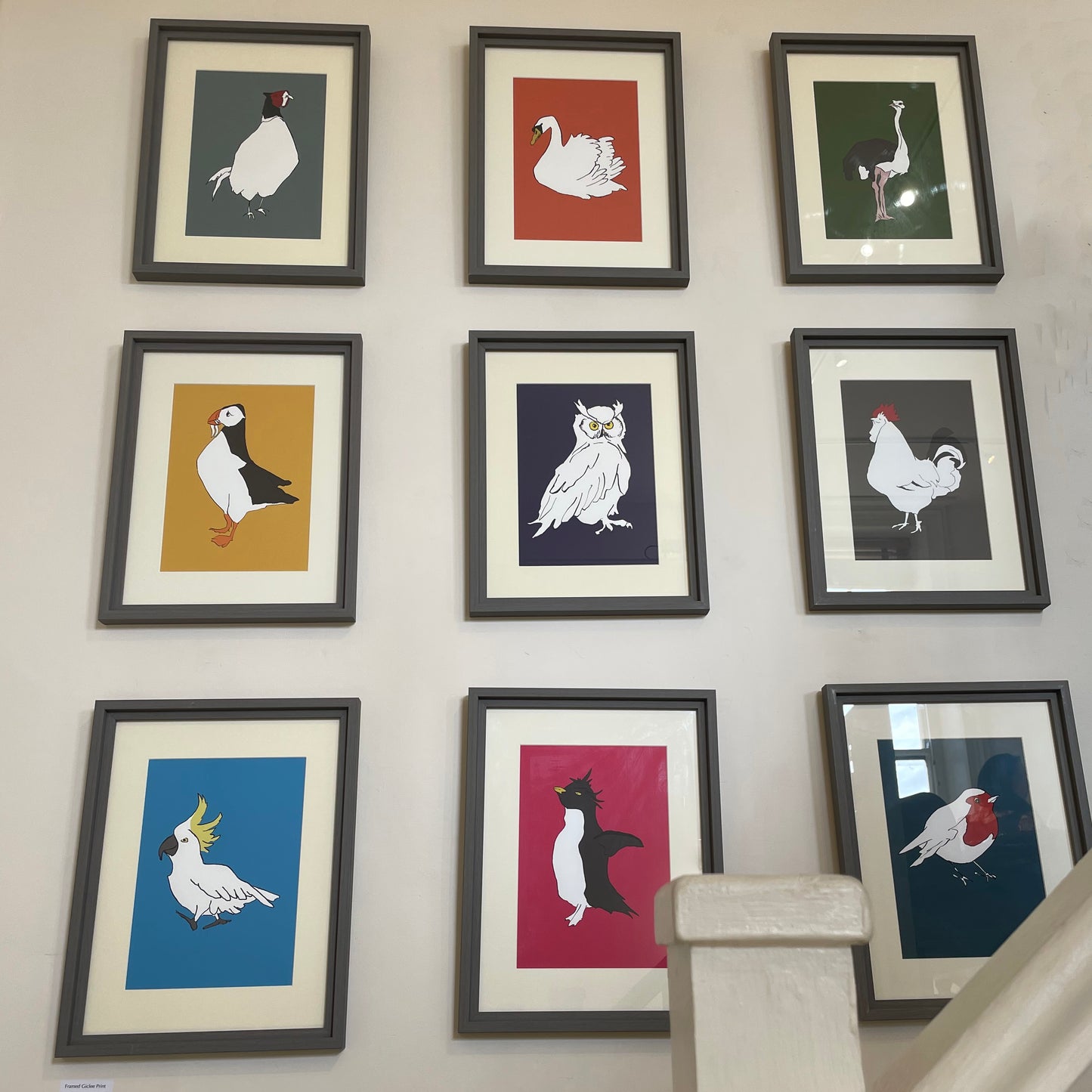 Grey Hen Giclée Print