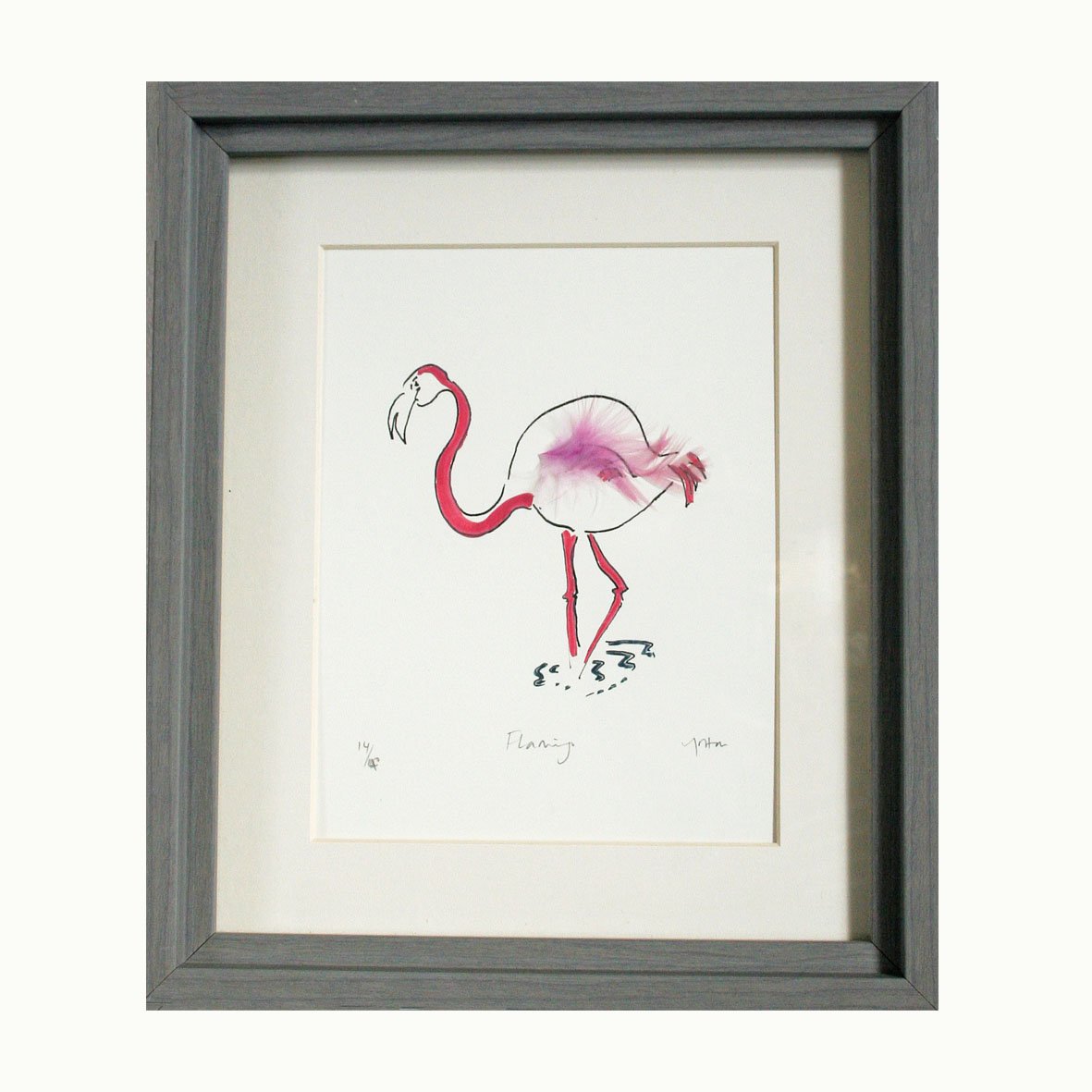 Flamingo print