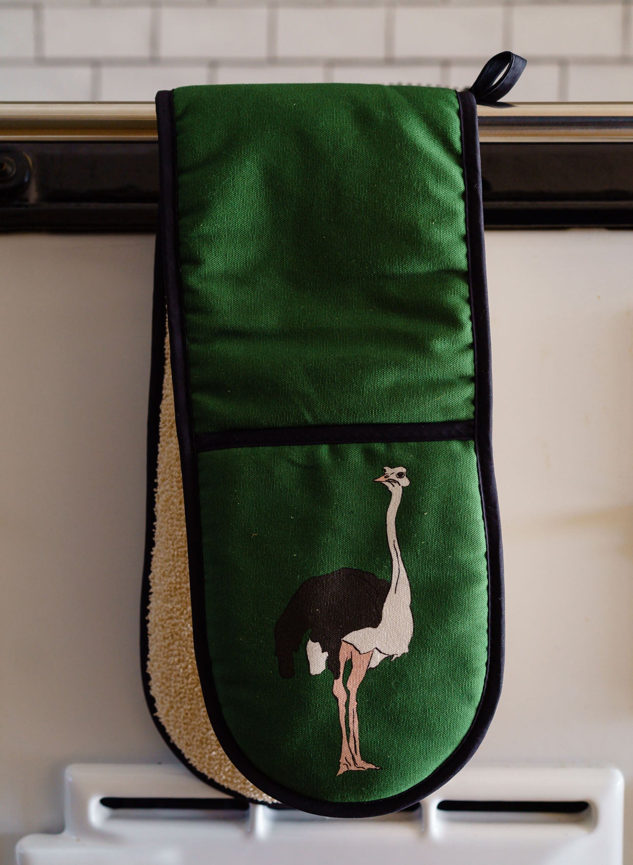 Ostrich Oven Gloves