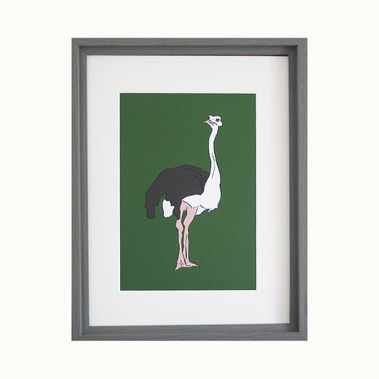 Ostrich Giclée Print