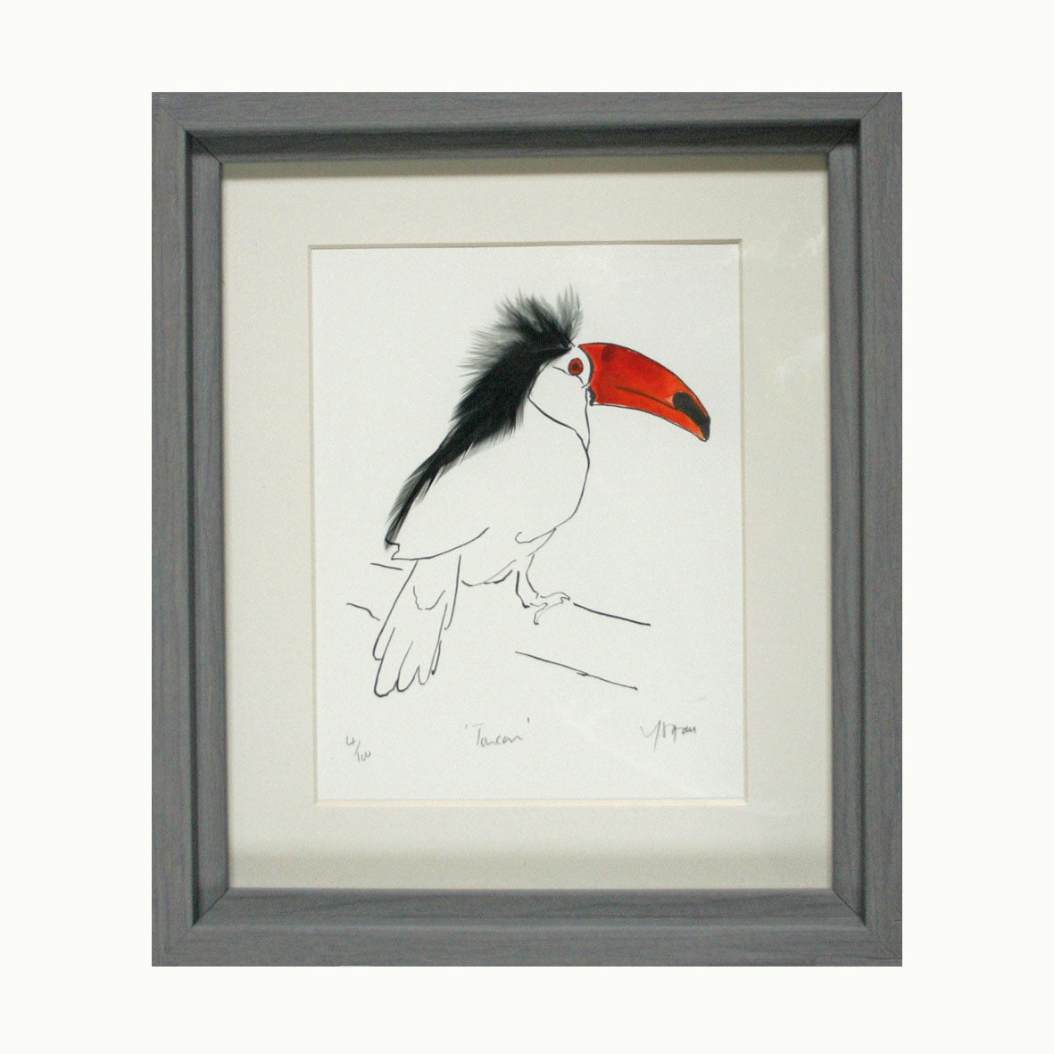 Toucan Print