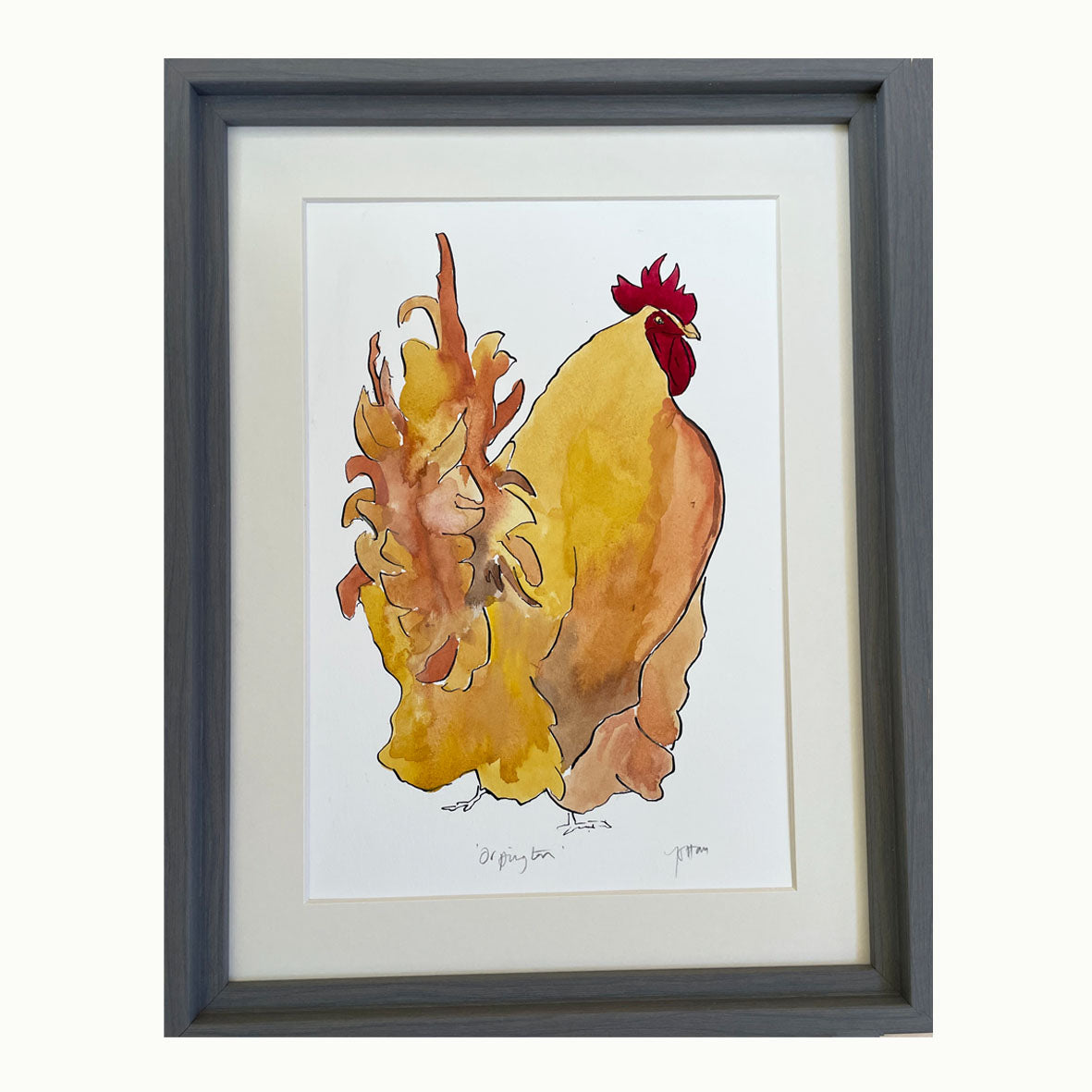 Buff Orpington Original Watercolour & Ink