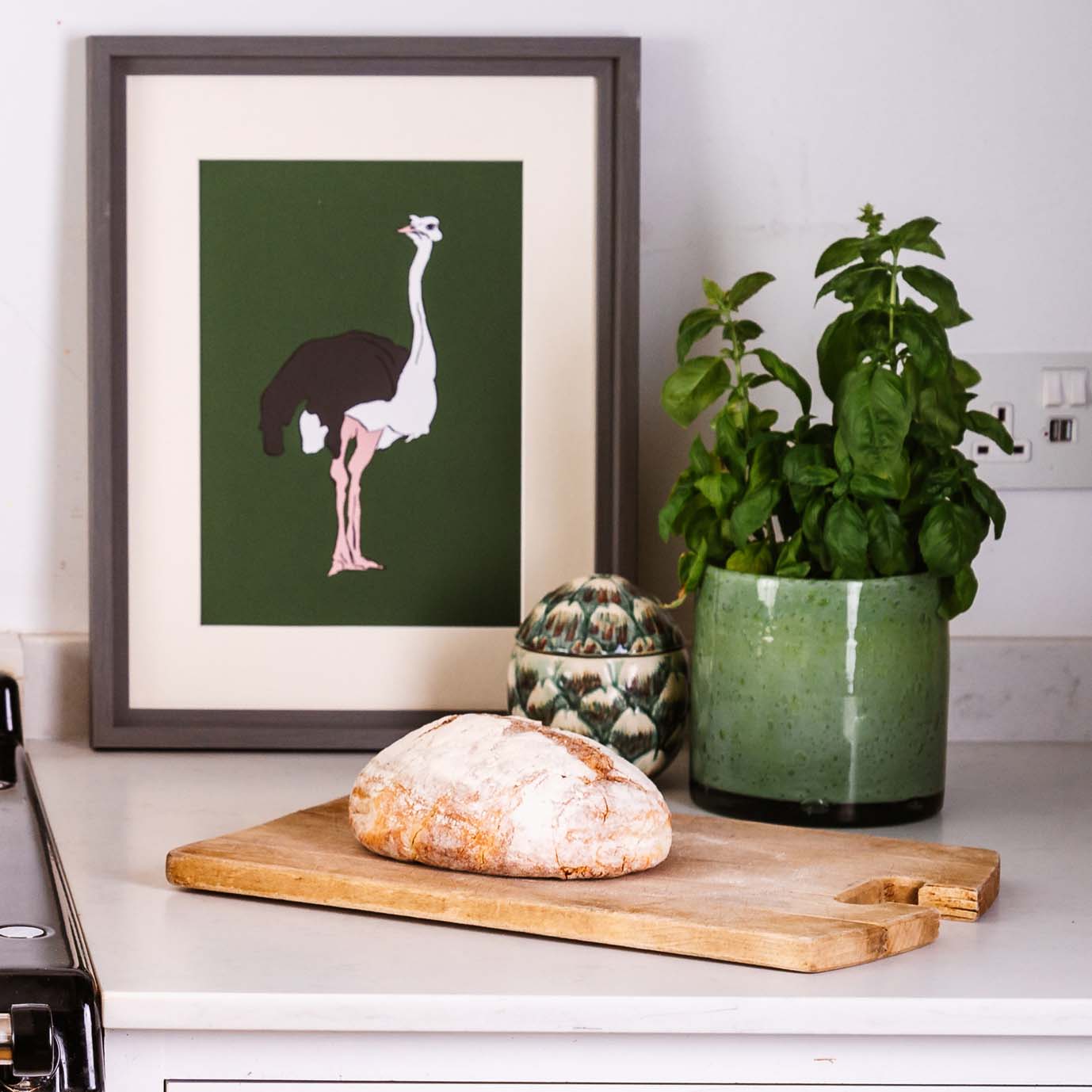 Ostrich Giclée Print