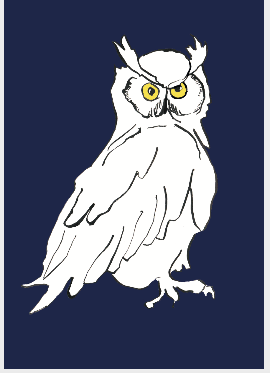 Owl Giclée Print