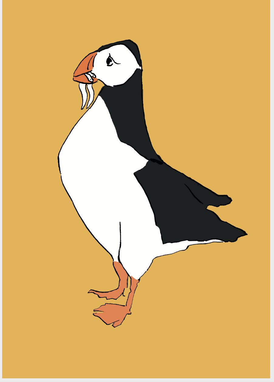 Puffin Giclée Print