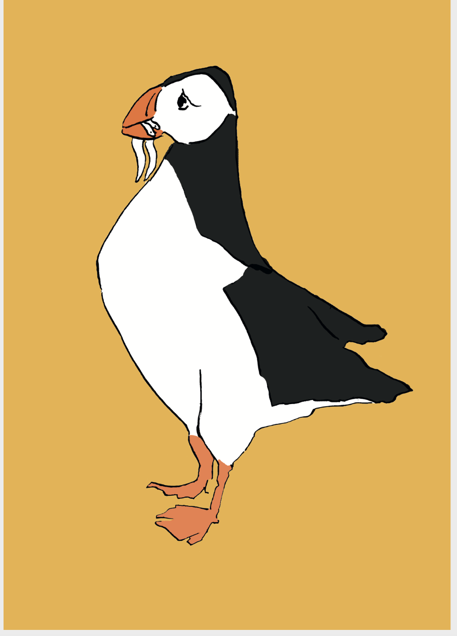 Puffin Giclee Print