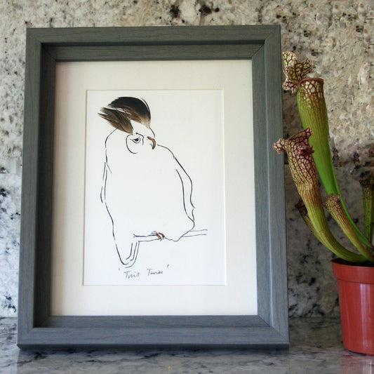 Twit Two Owl Mini Print