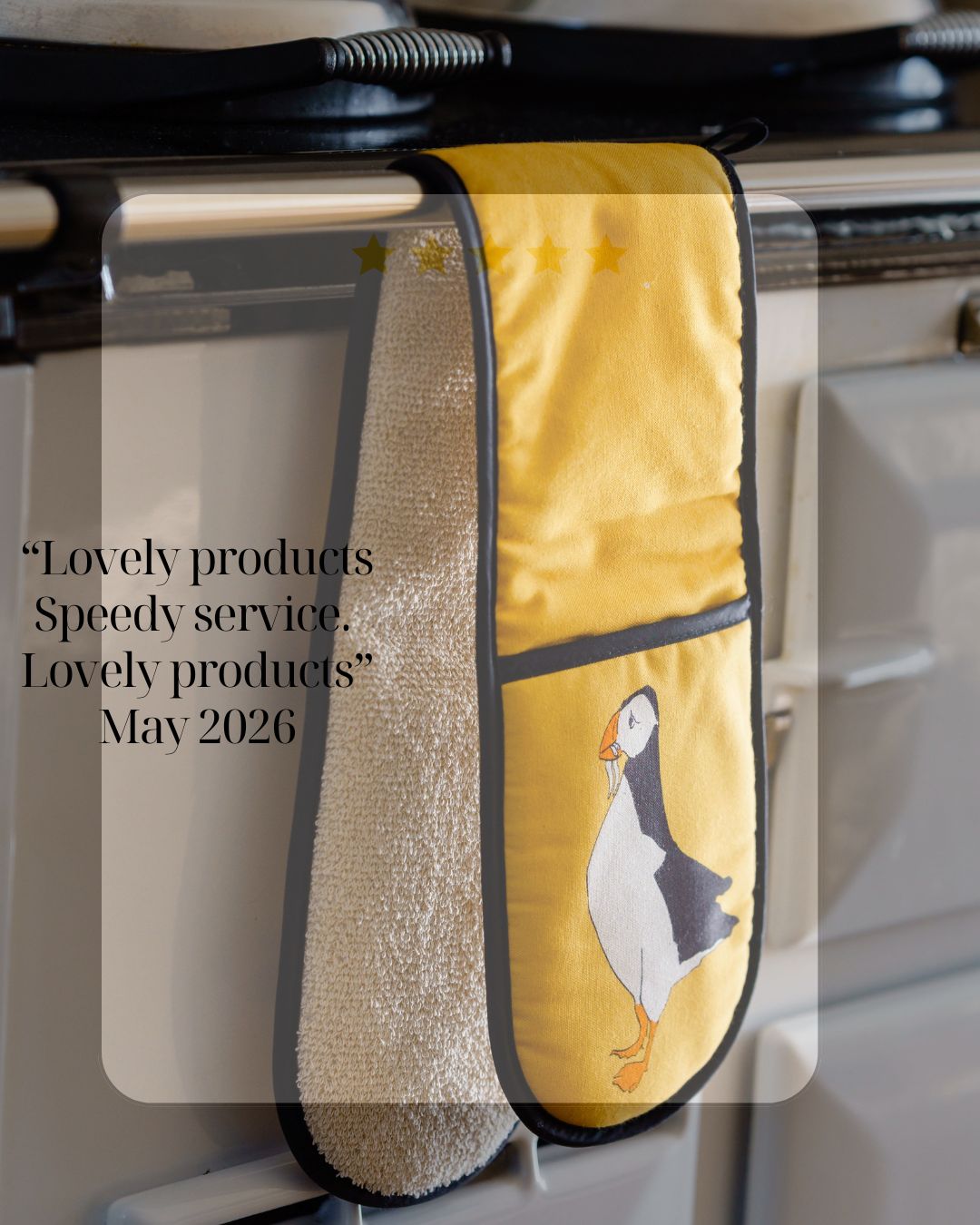 Puffin Oven Gloves