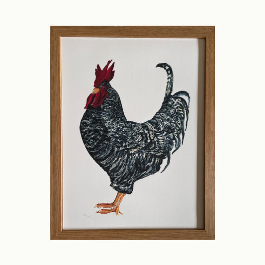 Amrock Cockerel Giclée Print