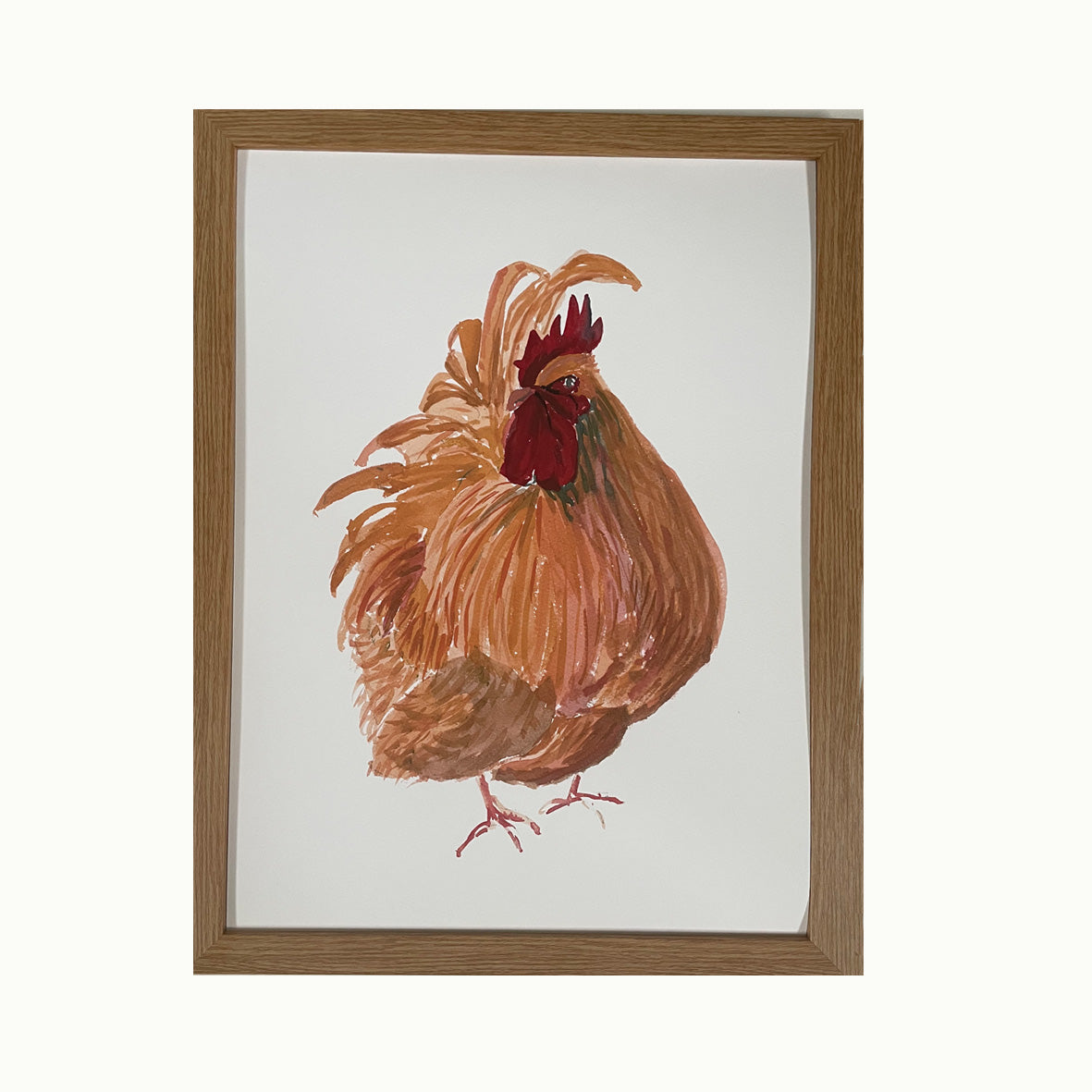 Buff Orpington Giclée Print