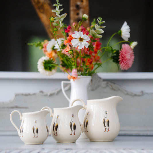 Runner Duck Jugs