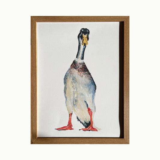 Runner Duck Giclée Print