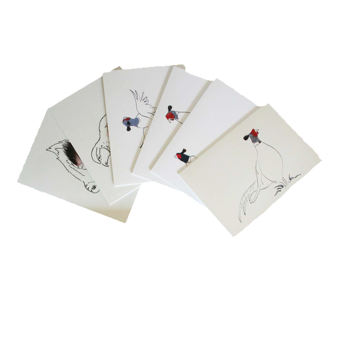 Pheasant Set of 6 cards in a Gift Box