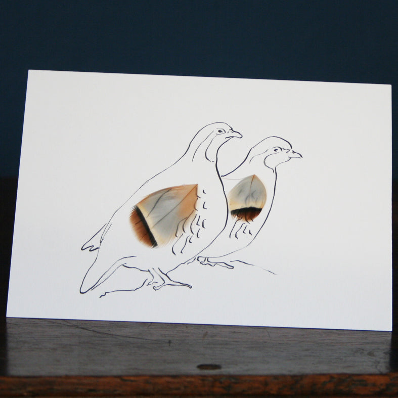 partridge greeting card with real feathers