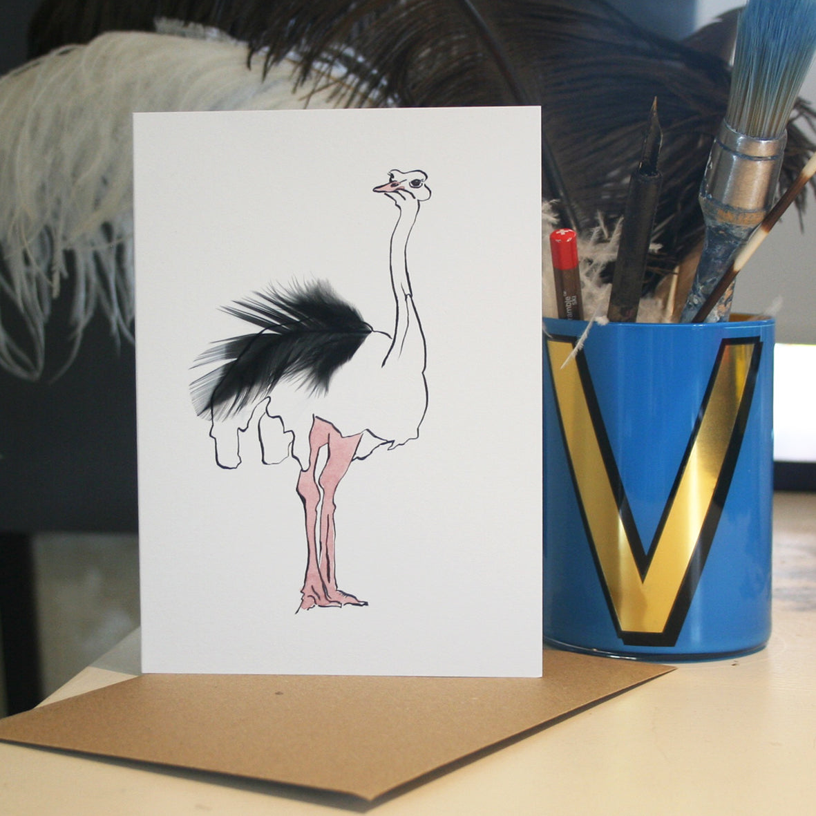 Ostrich Real Feather Cards