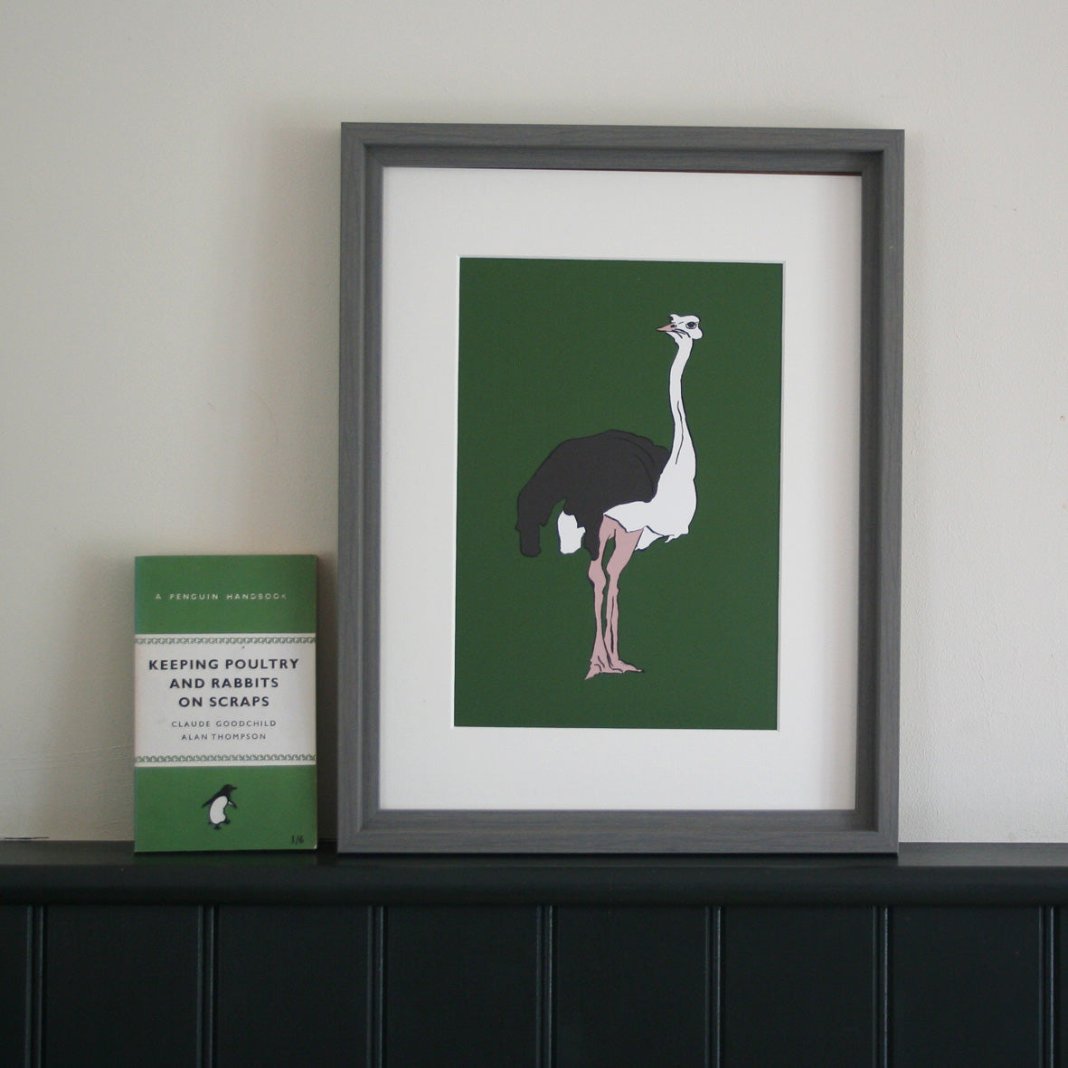 Ostrich framed print with green background