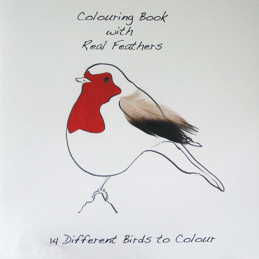 Robin cover colouring book with feathers