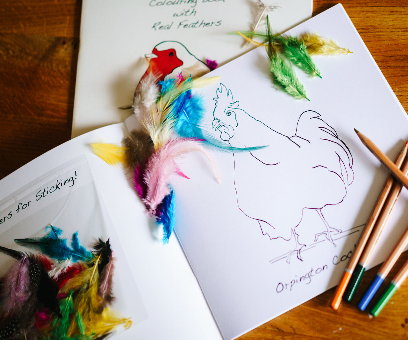 Colouring Book with Feathers