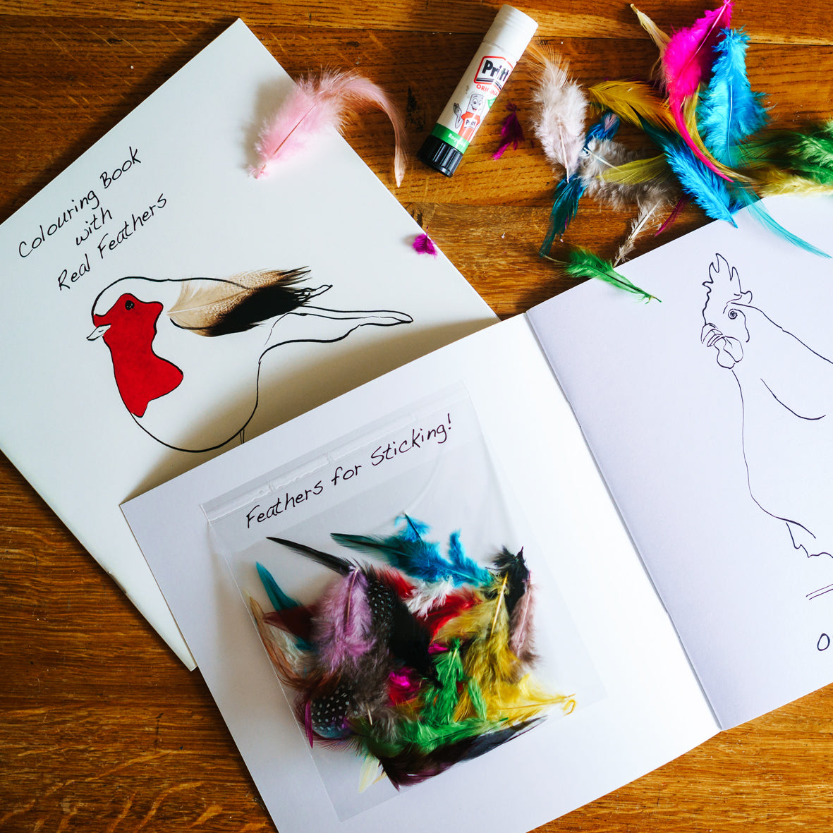 Colouring Book with Feathers