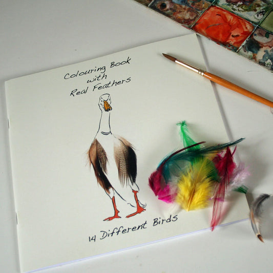 Colouring Book with Feathers