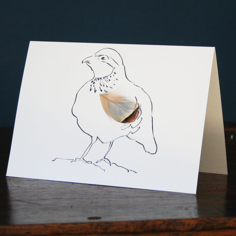Woodcock & Partridge Cards