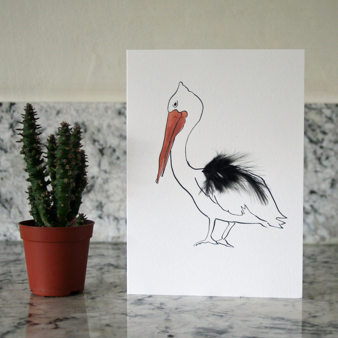 Pelican Real Feather Cards