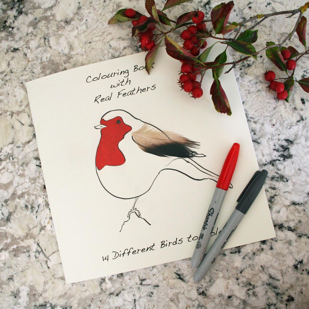 Colouring Book with Feathers for sticking